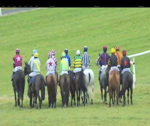 Video preview image for Thurles 13:55 - Templemore Mares Maiden Hurdle
