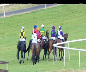 Video preview image for Thurles 14:30 - Cashel Maiden Hurdle 