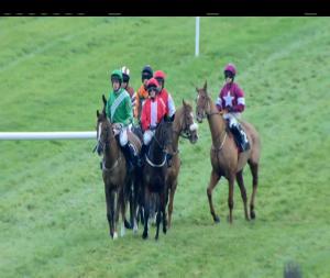 Video preview image for Thurles 16:05 - Go Racing At Thurles Racecourse I.N.H. Flat