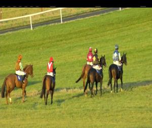 Video preview image for Thurles 16:10 - Toboradora I.N.H Flat