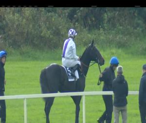 Video preview image for Cork 14:10 - Coolmore Ruler Of The World Maiden