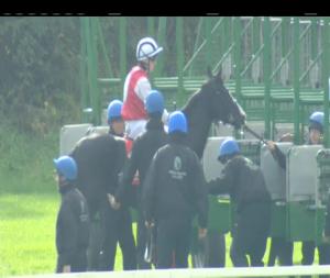 Video preview image for Cork 14:45 - Ingredient Solutions Ltd Supporting The Rickie Healy Appeal Handicap