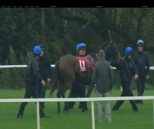 Video preview image for Cork 16:30 - Irish Stallion Farms European Breeders Fund Fillies Handicap