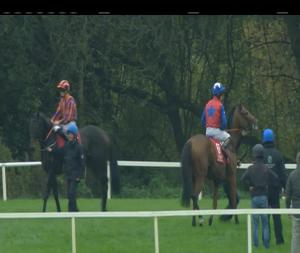 Video preview image for Cork 17:05 - Savills Supporting The Rickie Healy Appeal Apprentice Handicap