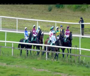Video preview image for Downpatrick 14:50 - I.N.H. Stallion Owners European Breeders Fund Maiden Hurdle