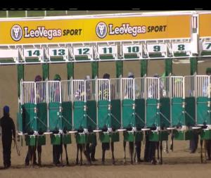 Video preview image for Dundalk 19:30 - Dundalk Stadium On Facebook Handicap