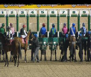 Video preview image for Dundalk 19:55 - Bar One Racing Telebetting 1800 624 524 Maiden