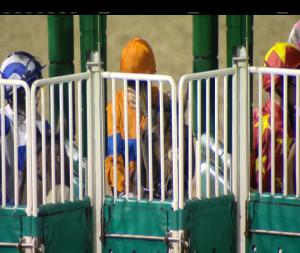 Video preview image for Dundalk 20:00 - Al Basti Equiworld Carlingford Stakes (Listed)