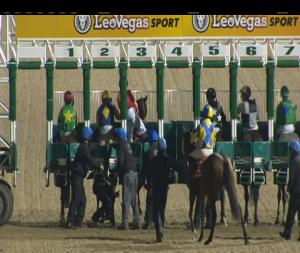 Video preview image for Dundalk 20:55 - Bar One Racing Telebetting 1800 624 524 Handicap (Div 2)