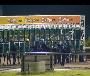 Video preview image for Dundalk 21:00 - Christmas Party Nights At Dundalk Stadium Handicap