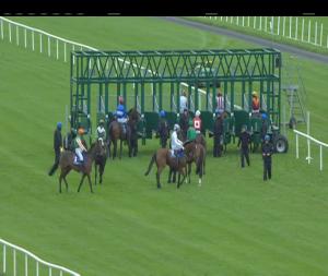 Video preview image for Fairyhouse 16:15 - Irish Stallion Farms European Breeders Fund Fillies Maiden
