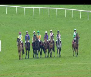 Video preview image for Galway 14:20 - Kone Handicap Chase