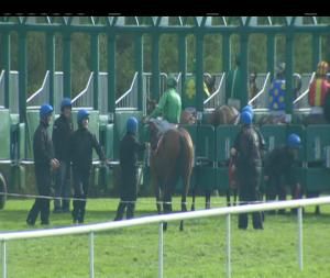 Video preview image for Gowran Park 14:55 - www.gowranpark.ie Handicap