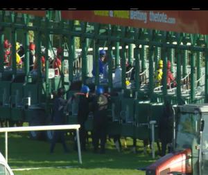 Video preview image for Gowran Park 17:00 - Racing Again November 25th Maiden