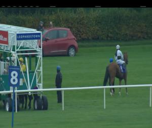 Video preview image for Leopardstown 17:20 - Tote Maiden 