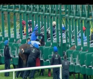 Video preview image for Limerick 13:25 - Foran Equine Irish EBF Auction Maiden (Plus 10)