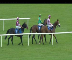 Video preview image for Limerick 13:45 - Maurice Power Solicitors Hurdle 