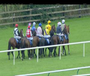 Video preview image for Limerick 14:45 - Iwp Home Improvement Centre Mares Handicap Hurdle 