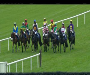 Video preview image for Limerick 15:20 - David Fitzgerald Memorial Handicap Hurdle 