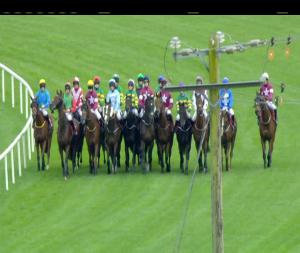 Video preview image for Limerick 16:25 - Jt McNamara Ladbrokes Munster National Handicap Chase (Grade A)