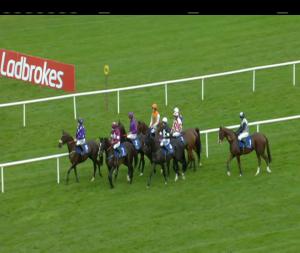 Video preview image for Limerick 16:55 - Racing Post Irish European Breeders Fund Beginners Chase