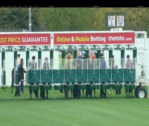 Video preview image for Naas 13:20 - Tifrums Irish European Breeders Fund (C & G) Maiden 