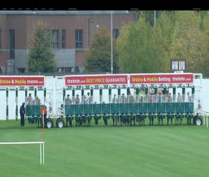 Video preview image for Naas 13:50 - Rathasker Stud Irish European Breeders Fund Fillies Maiden 