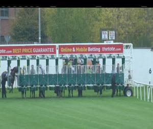 Video preview image for Naas 14:25 - At The Races Irish European Breeders Fund Birdcatcher Premier Nursery Handicap 
