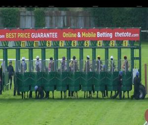Video preview image for Navan 14:25 - Irish Stallion Farms European Breeders Fund Maiden