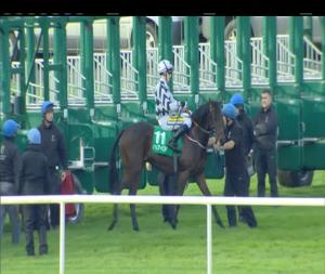 Video preview image for Navan 15:35 - Navan Welcomes Owners (C & G) Median Auction Maiden