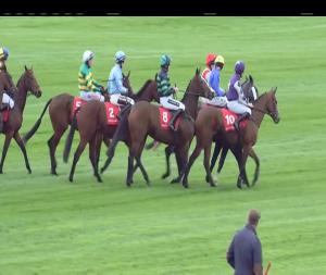 Video preview image for Punchestown 14:05 - coral.ie Best Price Guaranteed On All Irish Races 3-y-o Hurdle
