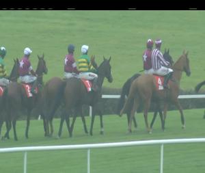 Video preview image for Punchestown 16:10 - Irish Daily Star Chase (Grade 3)