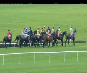 Video preview image for Punchestown 16:45 - Ingoldsby (Q.R.) Handicap Chase