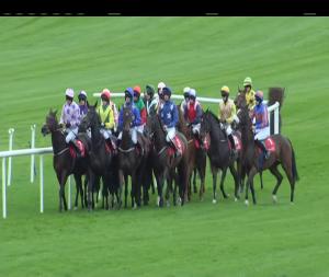 Video preview image for Punchestown 17:20 - Black Hills Mares I.N.H. Flat