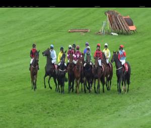 Video preview image for Punchestown 17:20 - Punchestown For Events I.N.H. Flat 