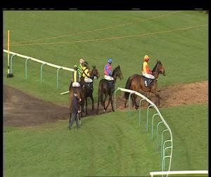 Video preview image for Sedgefield 15:45 - Brian Ellison Racing Club Beginners' Chase (4)