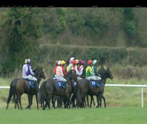 Video preview image for Thurles 14:20 - Irish Stallion Farms European Breeders Fund Mares Beginners Chase