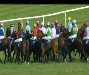 Video preview image for Thurles 14:35 - Devils Bit 3-y-o Maiden Hurdle