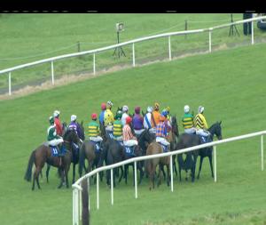 Video preview image for Thurles 15:25 - Thurles Mares Maiden Hurdle 