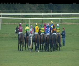 Video preview image for Thurles 16:30 - He'Llberemembered Hurdle