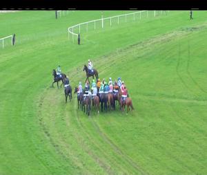 Video preview image for Thurles 17:00 - Premier County Handicap Hurdle