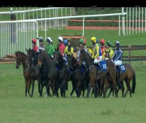 Video preview image for Thurles 17:30 - Munster I.N.H. Flat 