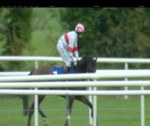 Video preview image for Tipperary 15:20 - Follow Tipperary Races On Twitter Handicap Hurdle