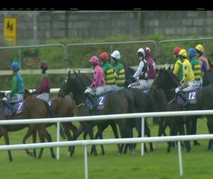 Video preview image for Wexford 13:00 - Nick O'Donnell Memorial Maiden Hurdle