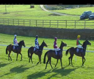 Video preview image for Wexford 13:25 - Casey Tarmacadam Mares Hurdle