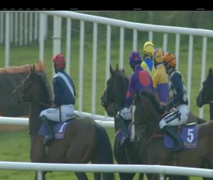 Video preview image for Wexford 13:35 - Iris First For Racing Footage In Ireland Rated Novice Hurdle