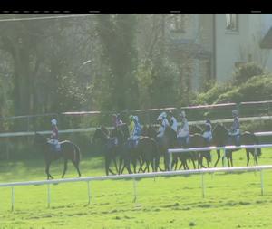 Video preview image for Wexford 14:00 - Casey Cattle Slats Maiden Hurdle