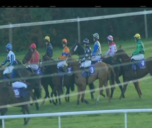 Video preview image for Wexford 14:35 - Casey Concrete Gorey Handicap Hurdle