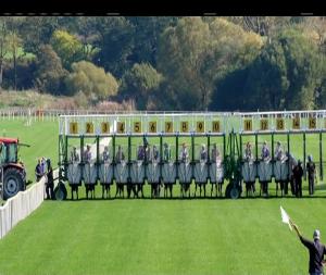 Video preview image for Cork 14:05 - Kanturk Median Auction Maiden 