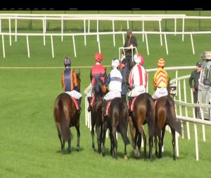 Video preview image for Cork 14:20 - I.N.H. Stallion Owners European Breeders Fund Novice Hurdle